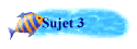 Sujet 3